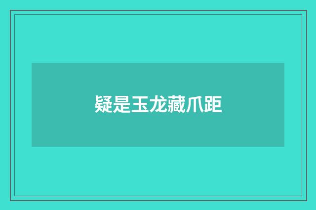 疑是玉龙藏爪距