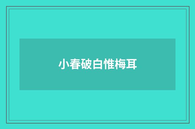 小春破白惟梅耳