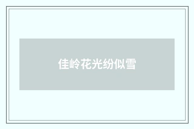 佳岭花光纷似雪