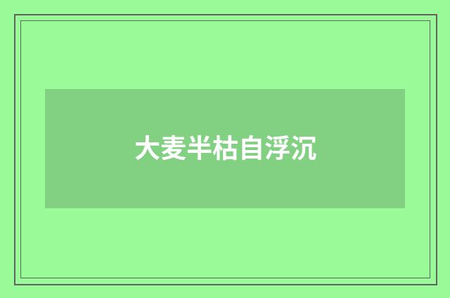 大麦半枯自浮沉