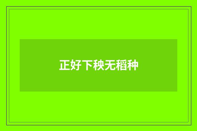 正好下秧无稻种