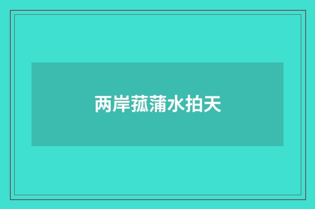 两岸菰蒲水拍天