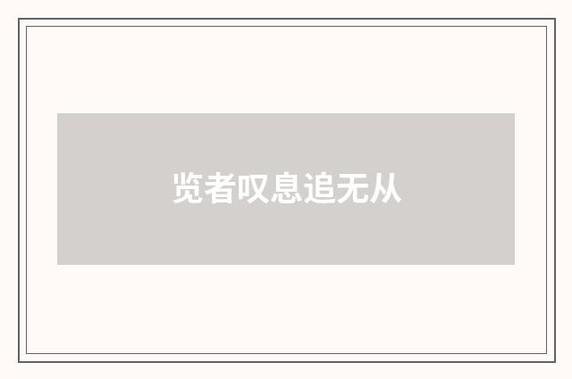 览者叹息追无从