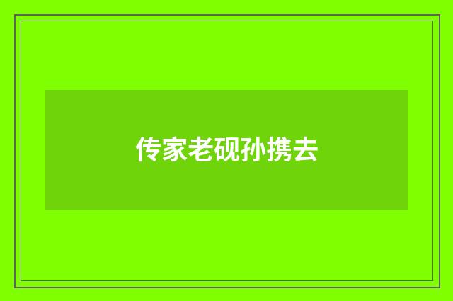 传家老砚孙携去