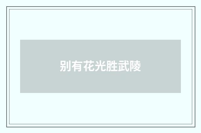 别有花光胜武陵