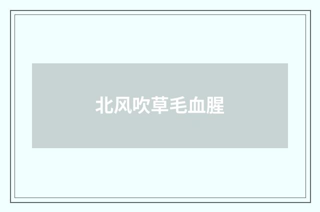 北风吹草毛血腥