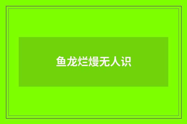 鱼龙烂熳无人识