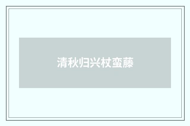 清秋归兴杖蛮藤