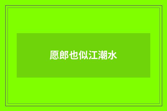 愿郎也似江潮水