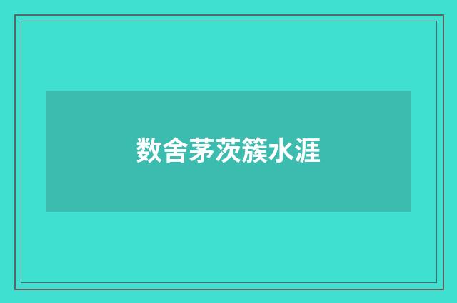 数舍茅茨簇水涯