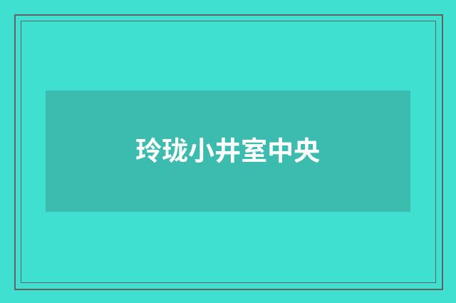 玲珑小井室中央