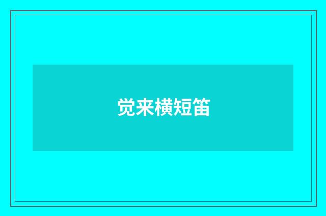 觉来横短笛