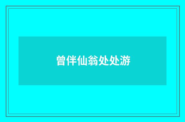 曾伴仙翁处处游