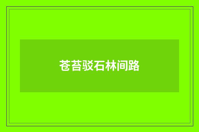 苍苔驳石林间路