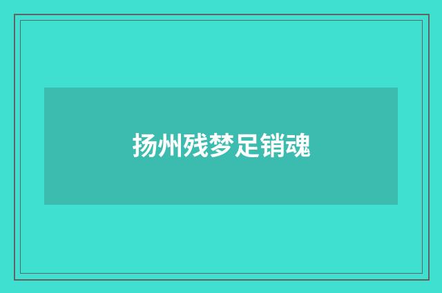 扬州残梦足销魂