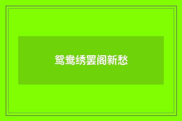 鸳鸯绣罢阁新愁