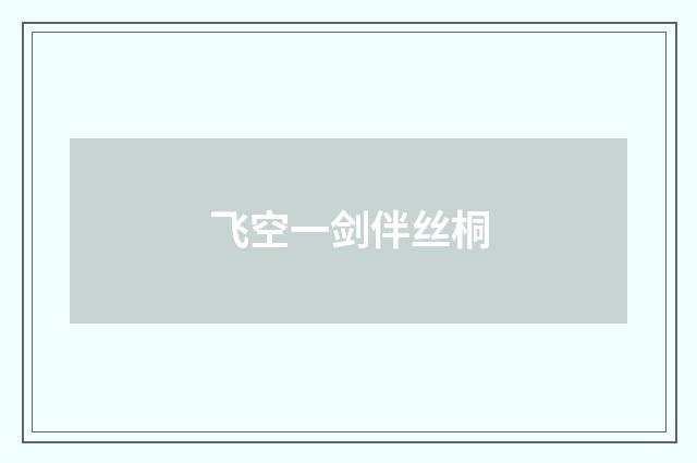 飞空一剑伴丝桐