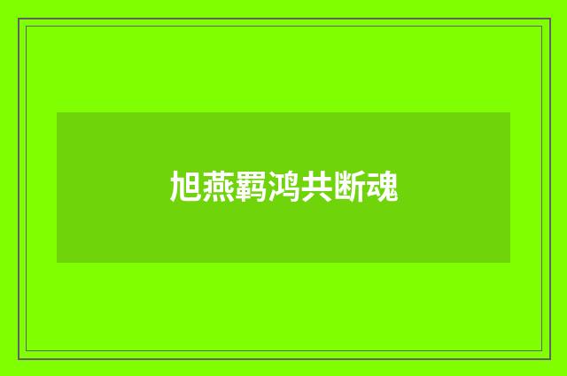 旭燕羁鸿共断魂