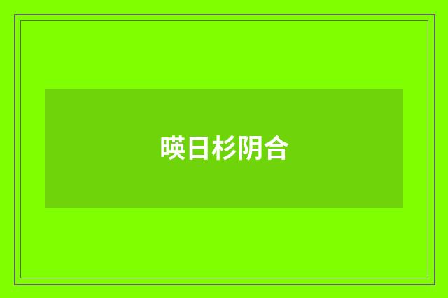 暎日杉阴合