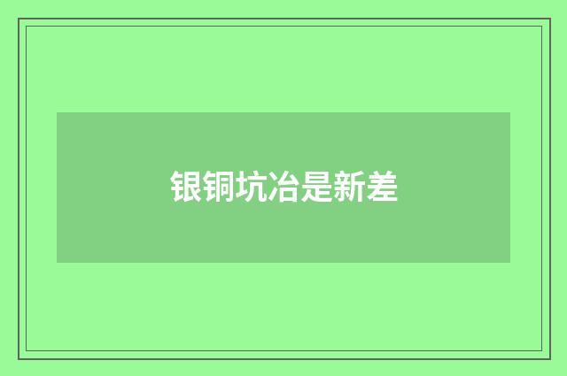 银铜坑冶是新差