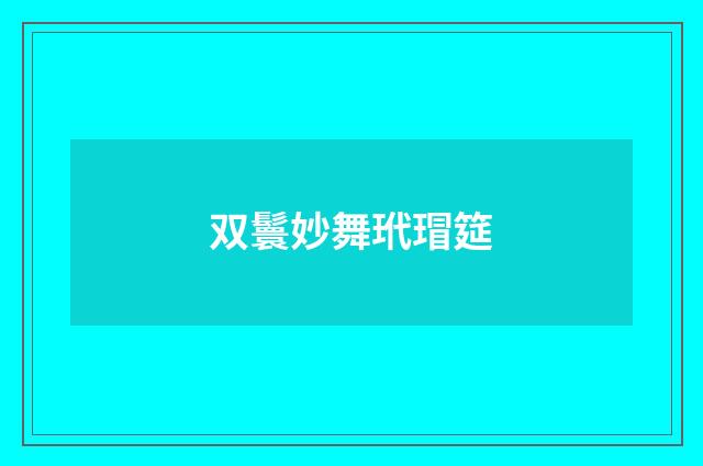 双鬟妙舞玳瑁筵