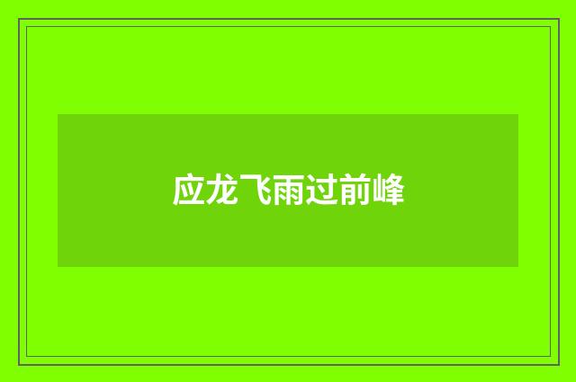 应龙飞雨过前峰