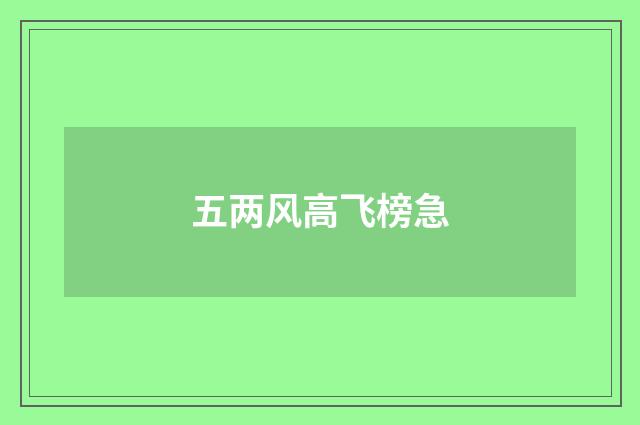 五两风高飞榜急