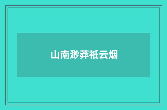 山南渺莽祇云烟