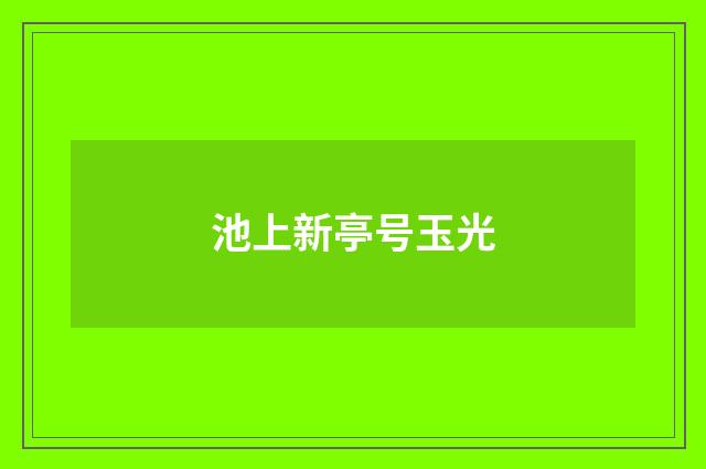 池上新亭号玉光