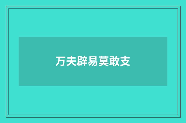 万夫辟易莫敢支