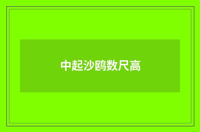 中起沙鸥数尺高