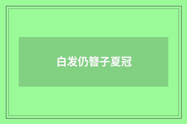 白发仍簪子夏冠