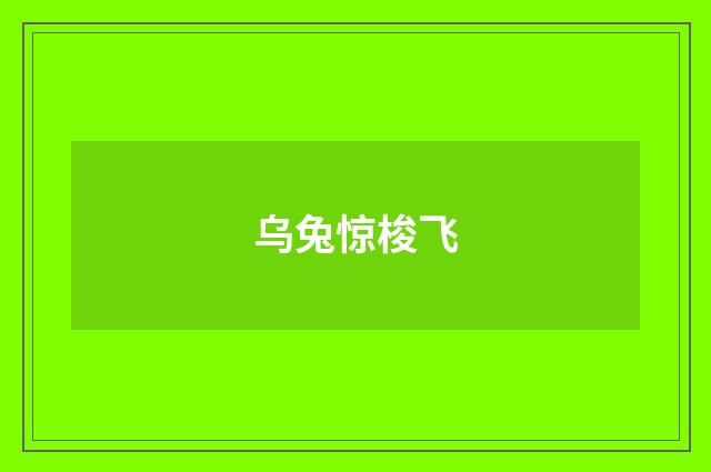 乌兔惊梭飞
