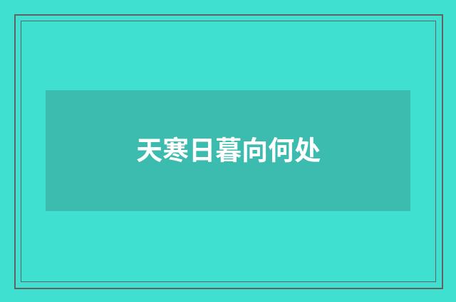 天寒日暮向何处