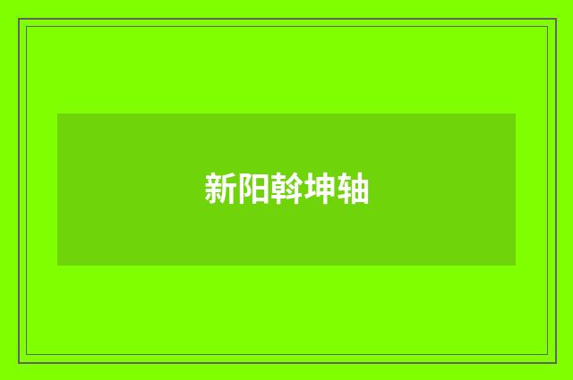 新阳斡坤轴