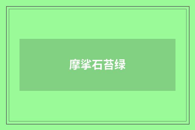 摩挲石苔绿