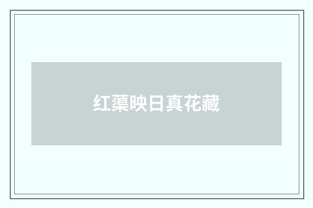 红蕖映日真花藏