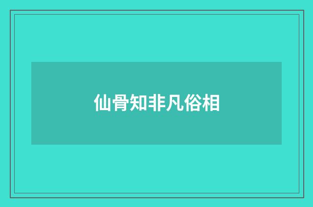 仙骨知非凡俗相