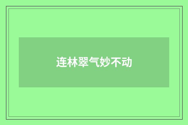 连林翠气妙不动