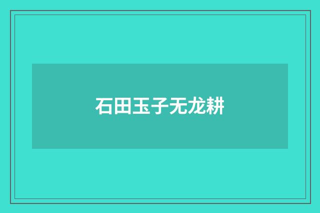 石田玉子无龙耕