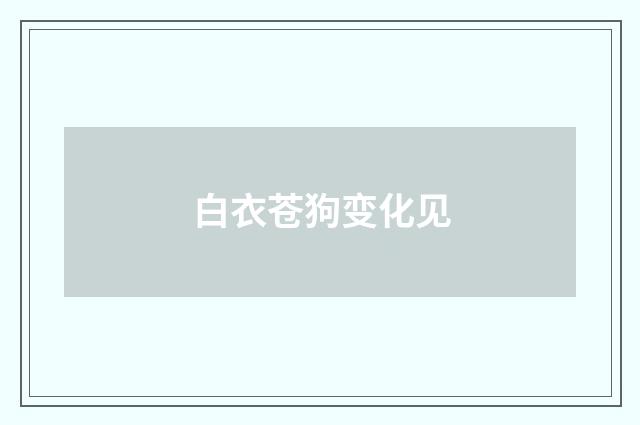 白衣苍狗变化见