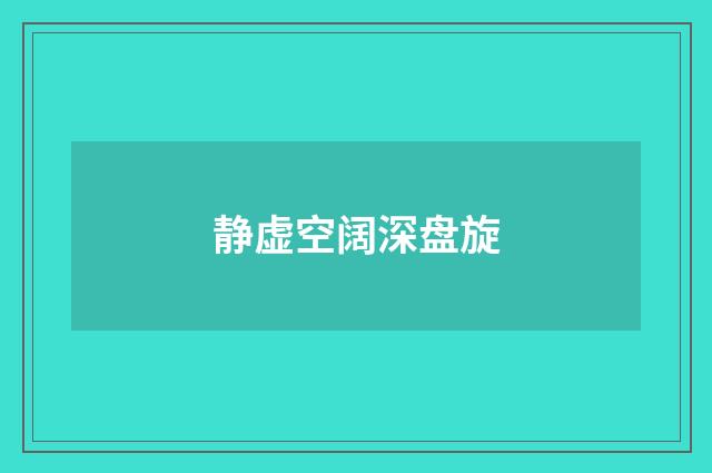 静虚空阔深盘旋
