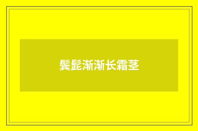 鬓髭渐渐长霜茎