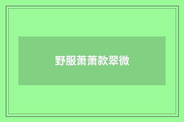 野服萧萧款翠微