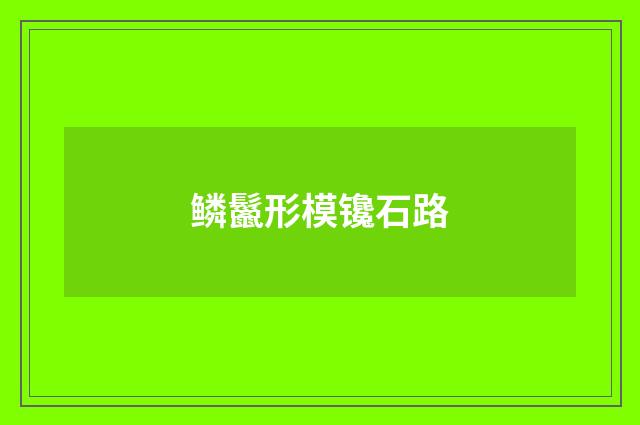 鳞鬣形模镵石路