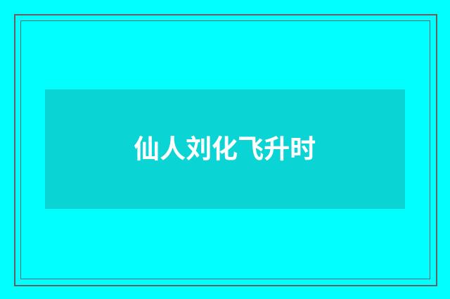 仙人刘化飞升时