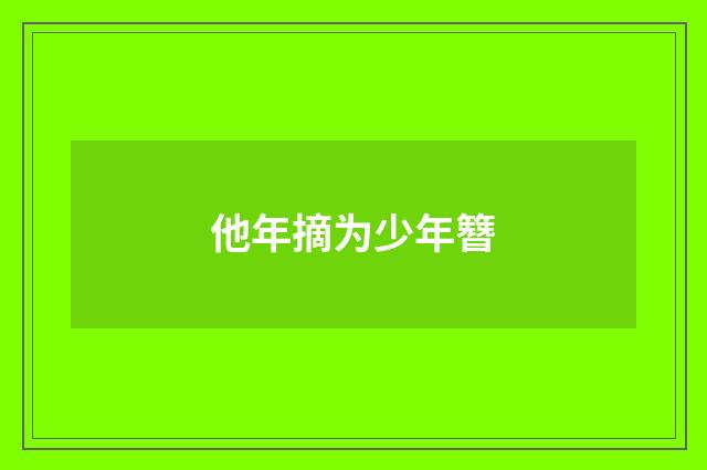 他年摘为少年簪
