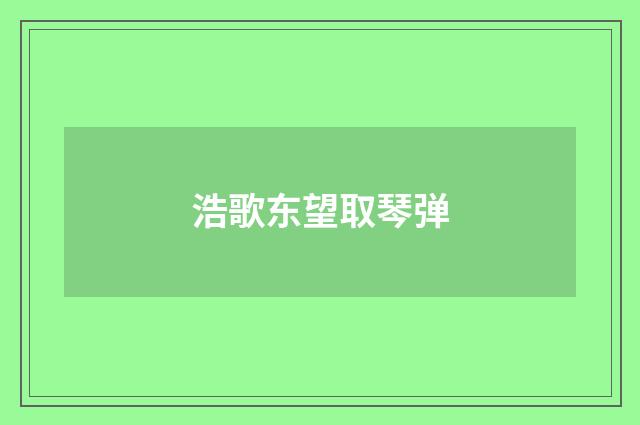 浩歌东望取琴弹