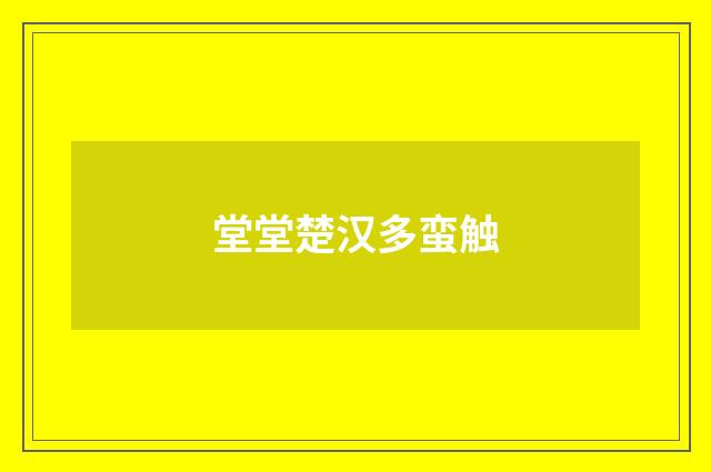 堂堂楚汉多蛮触