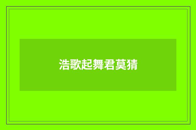 浩歌起舞君莫猜